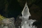 PICTURES/Ice Cave/t_Artsy Pointed Ice3.JPG